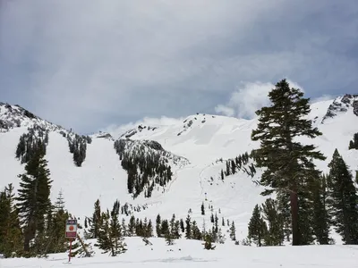 20190517_121257 (Large).jpg